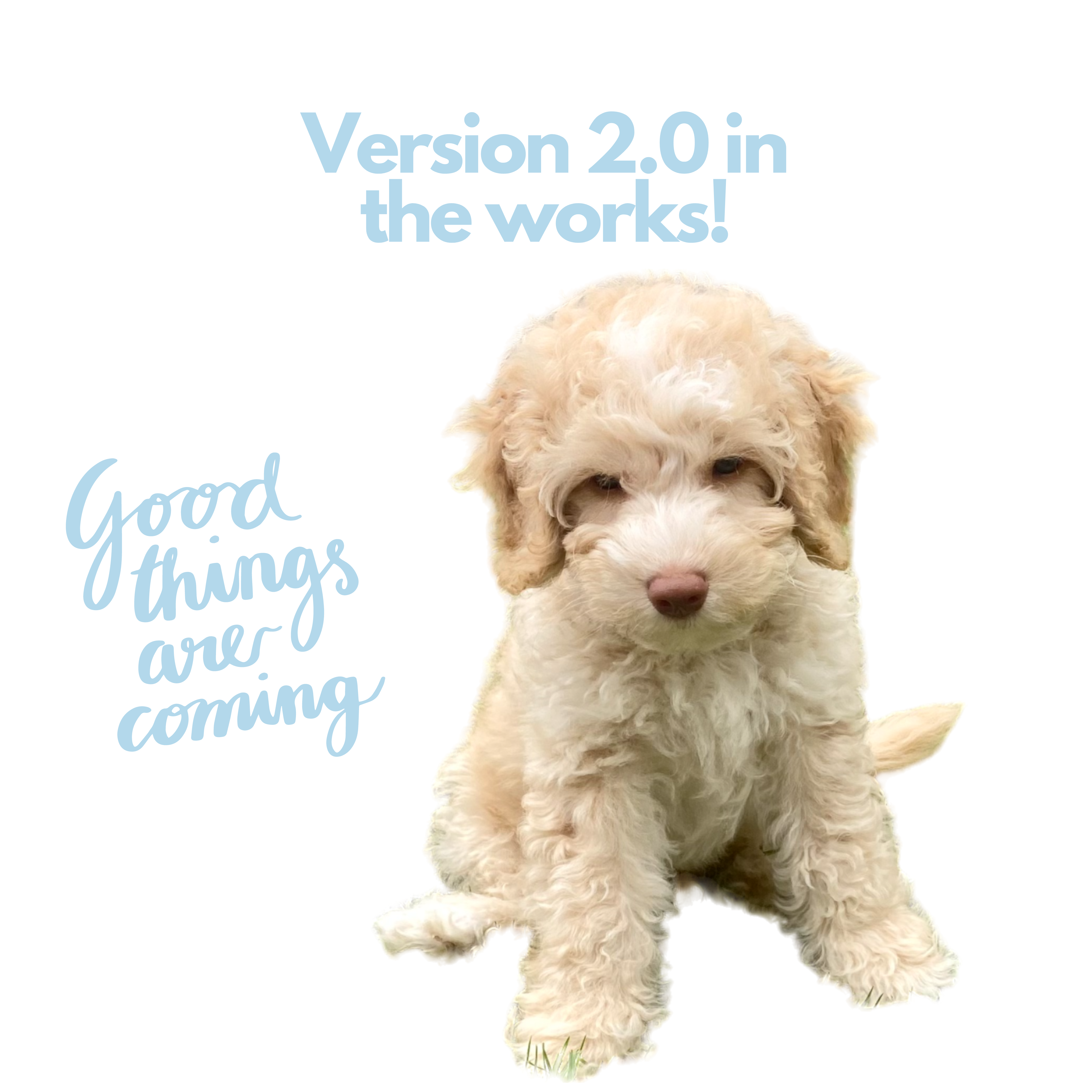 Nosey P. Silicone Dog Harness | Designer Step-In Dog Harness | All Weather-Durable | No Choke Design | Cute, Modern & Giftable